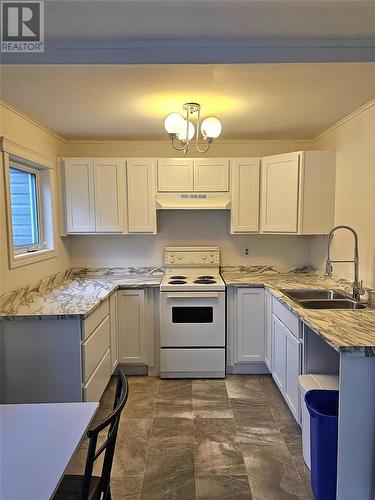 28 Reid Street, Corner Brook, NL - Indoor Photo Showing Kitchen With Double Sink