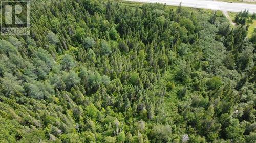 Tch Pinchgut Lake, Pinchgut Lake, NL 