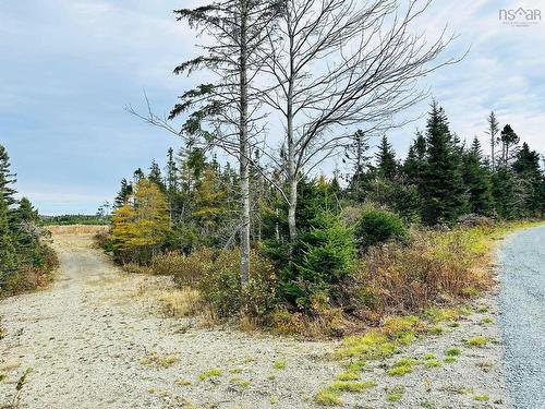 Lot 09-5 West Liscomb Point Road, West Liscomb, NS 