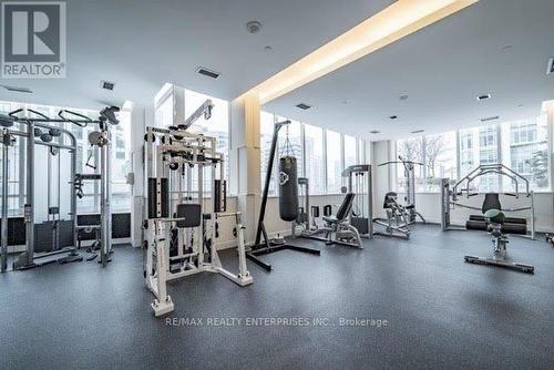 1435 - 250 Wellington Street W, Toronto, ON - Indoor Photo Showing Gym Room