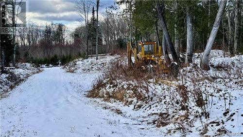 Na Woods Road, Kedgwick, NB 