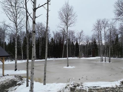 Water view - 8328 Rg Du Village, Rouyn-Noranda, QC - Outdoor With View