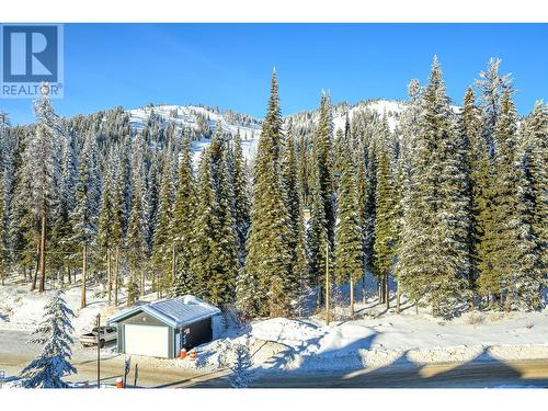 30 Monashee Road Unit# 401, Silver Star, BC - Outdoor