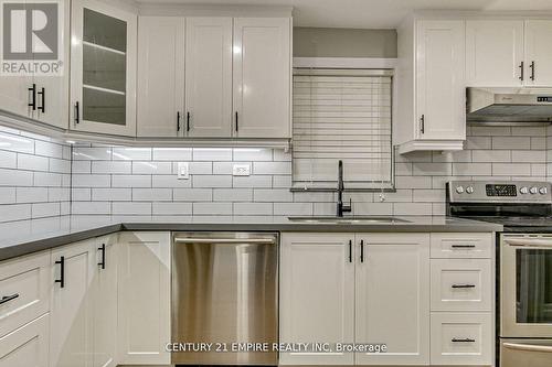 55 Stafford Street, Woodstock, ON - Indoor Photo Showing Kitchen With Upgraded Kitchen