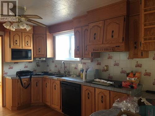 Box 142 Blue Cove Road, Blue Cove, NL - Indoor Photo Showing Kitchen With Double Sink