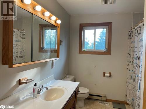 794046 Grey Rd 124 Road, Singhampton, ON - Indoor Photo Showing Bathroom