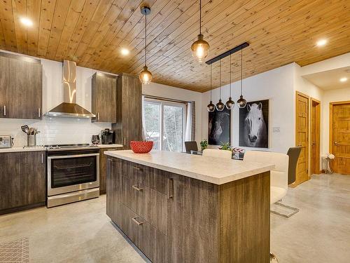 Kitchen - Ch. Du Golf, Sainte-Lucie-Des-Laurentides, QC - Indoor Photo Showing Kitchen With Upgraded Kitchen