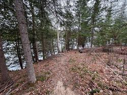 Wooded area - 