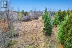 Large cascading spruce and deciduous trees leave a wonderful canopy of privacy. - 