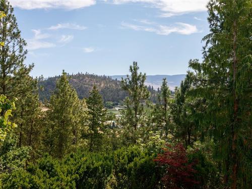 427 Long Ridge Drive, Kelowna, BC - Outdoor With View