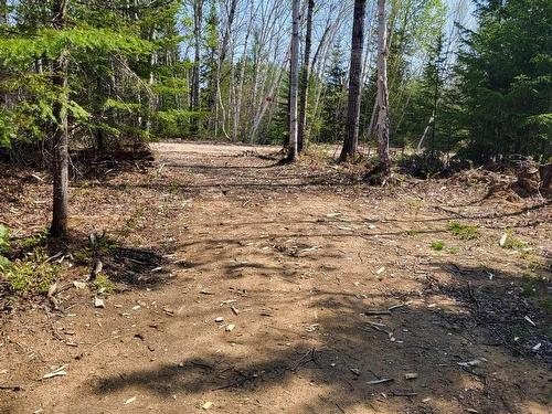 Land/Lot - Ch. Du Pignon-Rouge, Saint-Michel-Des-Saints, QC 