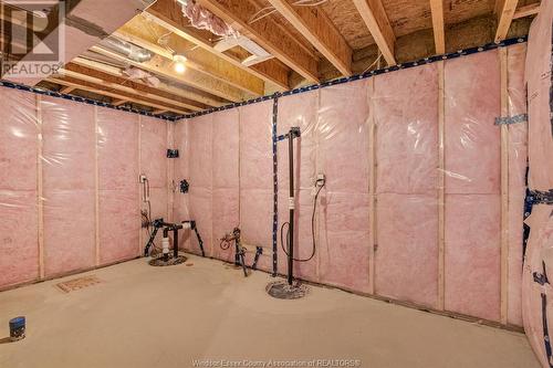 49 Belleview, Kingsville, ON - Indoor Photo Showing Basement