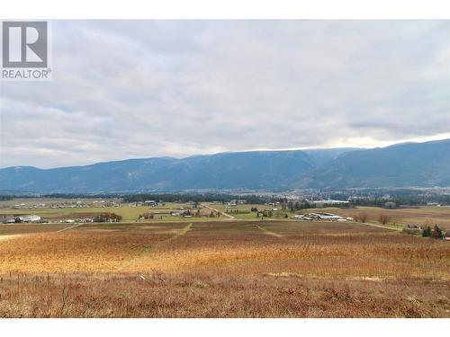 4239 Salmon River Road, Armstrong, BC 