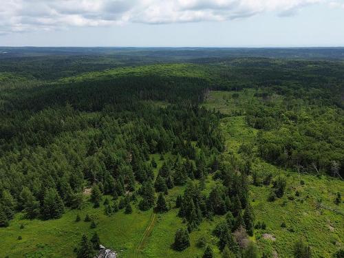 Lot Shaws Road, Lewis Cove Road, NS 