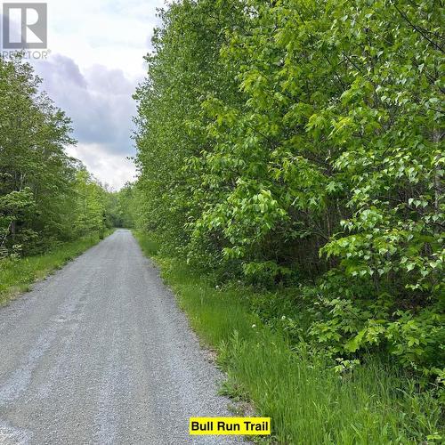 15 Conquerall Road, Hebbs Cross, NS, B4V 0Z6 terrain à vendre No