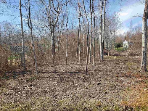 Lot 2 Martins Road, Lockhartville, NS 