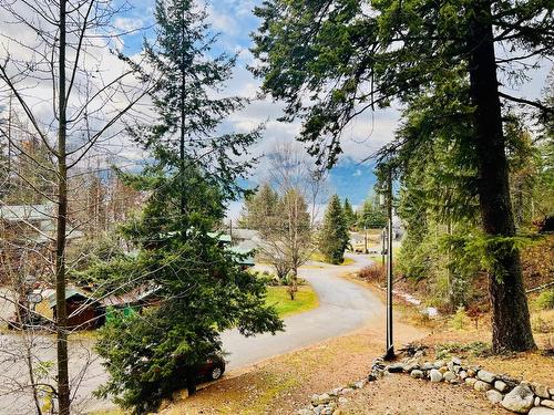 13575 Mountain Shores Road, Boswell, BC - Outdoor With View