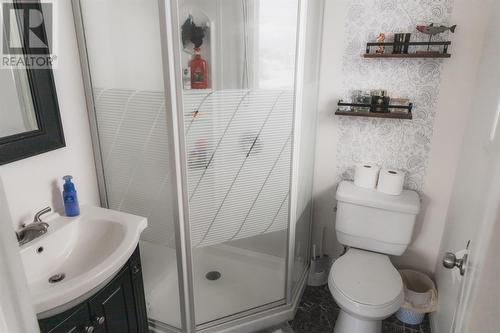 248 Vineland Road, Deer Park, NL - Indoor Photo Showing Bathroom