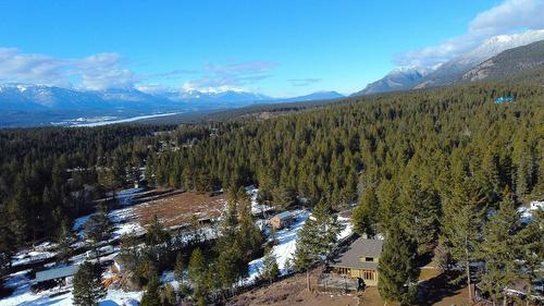 3461 Crooked Tree Road, Windermere, BC - Outdoor With View