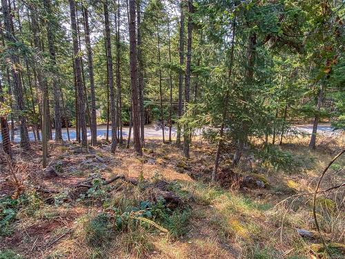 2618 Lighthouse Lane, Pender Island, BC - Outdoor With View