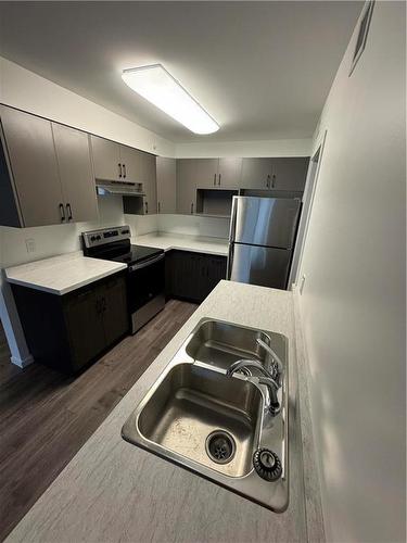 112 1400 Pacific Avenue, Brandon, MB - Indoor Photo Showing Kitchen With Double Sink
