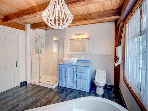 Bathroom - 1000 Tsse Josée, Sainte-Anne-Des-Lacs, QC - Indoor Photo Showing Bathroom