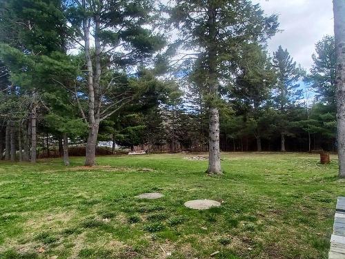 Land/Lot - 9 Ch. Georges-Turnbull, Blue Sea, QC - Outdoor