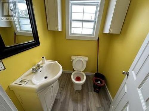 22 Station Road, Ochre Pit Cove, NL - Indoor Photo Showing Bathroom