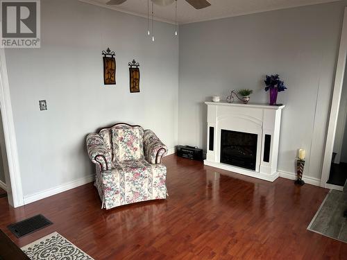 2 Burts Road, Botwood, NL - Indoor Photo Showing Living Room With Fireplace