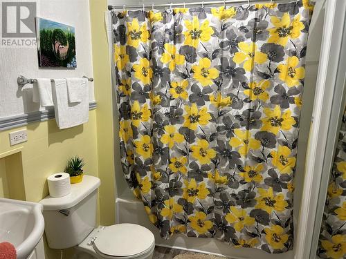 2 Burts Road, Botwood, NL - Indoor Photo Showing Bathroom