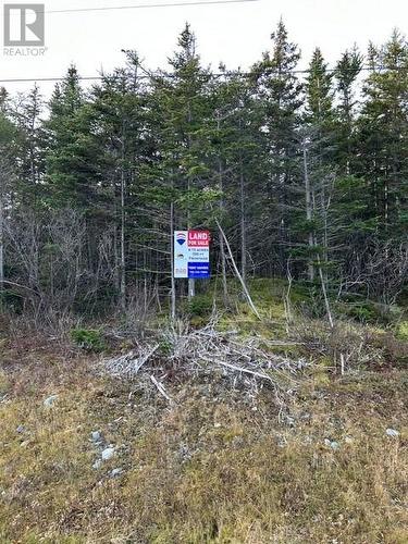 59 77 Main Road Hearts Content Nl A0b 1z0 Vacant Land For Sale