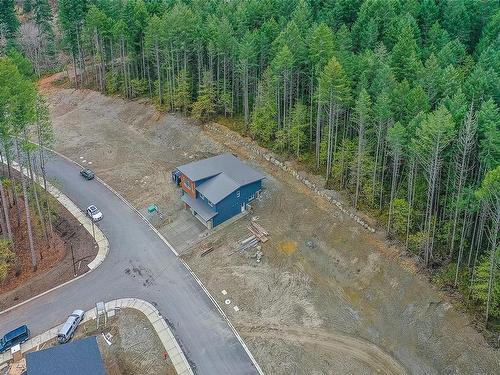 111 Raven Way, Ladysmith, BC - Outdoor With View