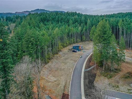 111 Raven Way, Ladysmith, BC - Outdoor With View