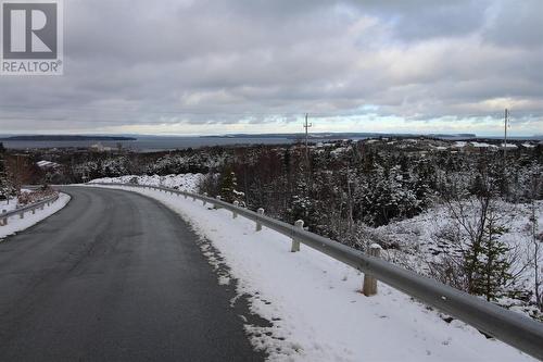 127 Minerals Road, Conception Bay South, NL 