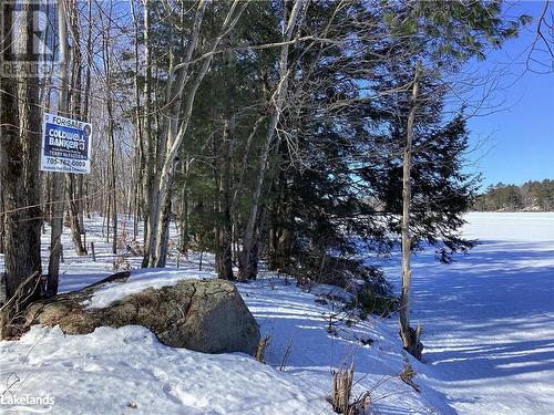Level Clean Waterfront - 30 Hawkins Point Road, Mactier, ON 