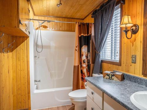 Salle de bains - 22 Rue Du Domaine, Lac-Etchemin, QC - Indoor Photo Showing Bathroom
