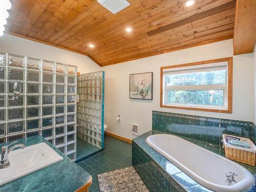 1417 Apex Mountain Road, Apex Mountain, BC - Indoor Photo Showing Bathroom