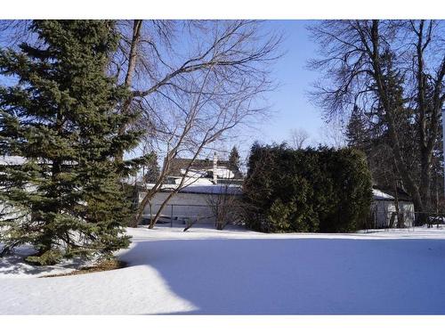 Cour - 33 Rue King-Edward, Longueuil (Greenfield Park), QC - Outdoor