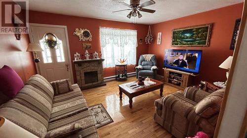 171 Main Road, Piccadilly, NL - Indoor Photo Showing Living Room With Fireplace