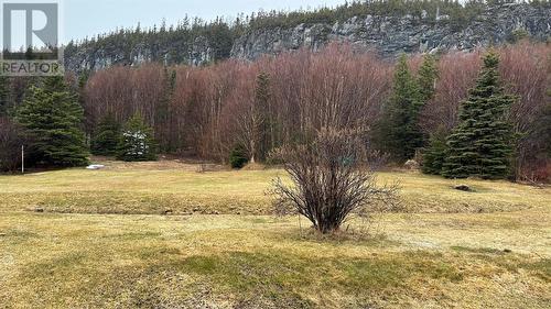 171 Main Road, Piccadilly, NL - Outdoor With View