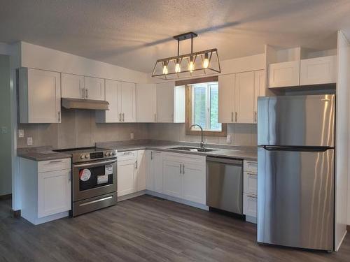 209 Dunlevy Road, Clearwater, BC - Indoor Photo Showing Kitchen