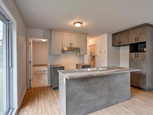 Kitchen - 573 29E Avenue Du Domaine, Sainte-Marthe-Sur-Le-Lac, QC - Indoor Photo Showing Kitchen With Double Sink