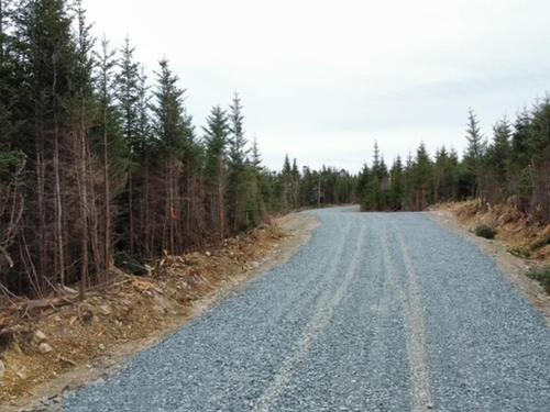 Mines Road, East Chezzetcook, NS 