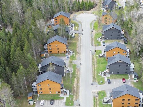 Overall view - 535  - 539 Rue Charlie-Forbell, Mont-Tremblant, QC - Outdoor With View