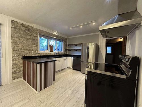 1230 Olde Shambles Road, Fort Frances, ON - Indoor Photo Showing Kitchen