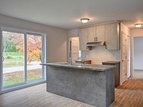 Kitchen - 569 29E Avenue Du Domaine, Sainte-Marthe-Sur-Le-Lac, QC - Indoor Photo Showing Kitchen With Double Sink