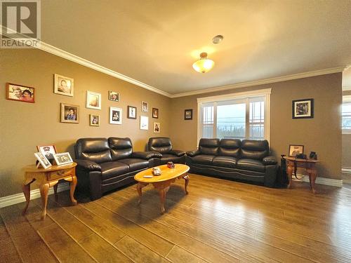 207 Harbour Drive, Hillview, NL - Indoor Photo Showing Living Room