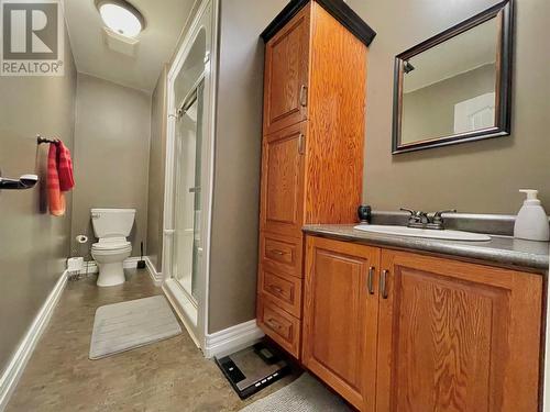 207 Harbour Drive, Hillview, NL - Indoor Photo Showing Bathroom