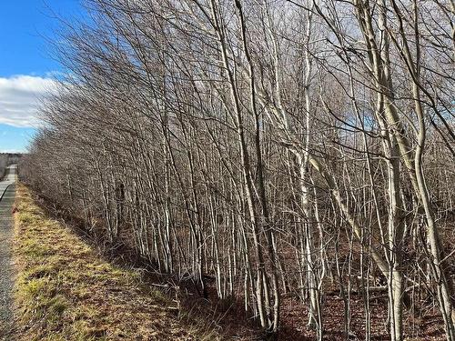 Lot 5 Little Egypt Road, Pictou County, NS 