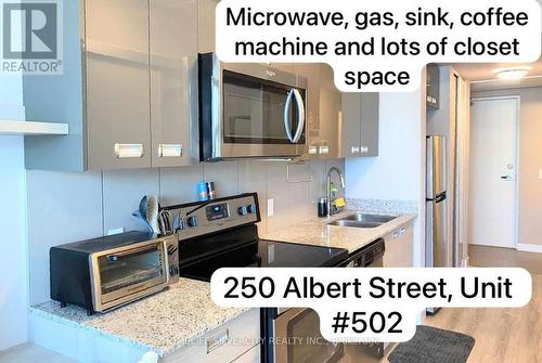 502 - 250 Albert Street E, Waterloo, ON -  Photo Showing Kitchen With Double Sink